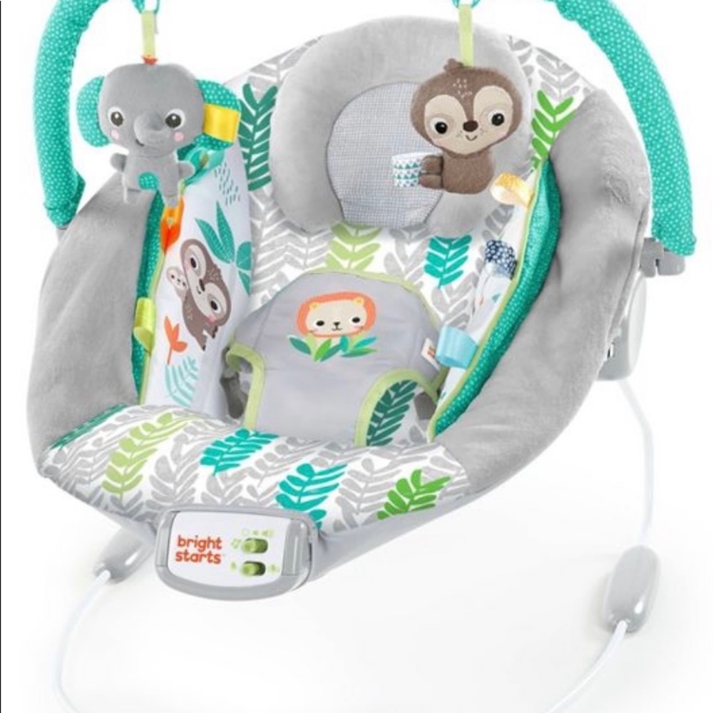 Bright Starts Cradling Bouncer seat